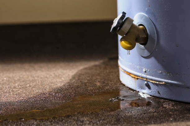 Best Basement water damage restoration  in Norwood, PA