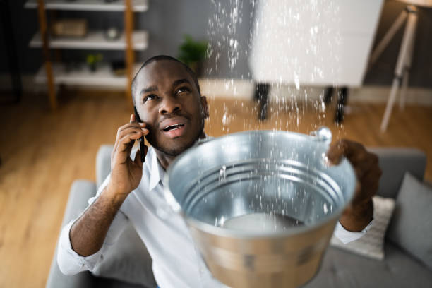 Best Carpet water damage restoration  in Norwood, PA