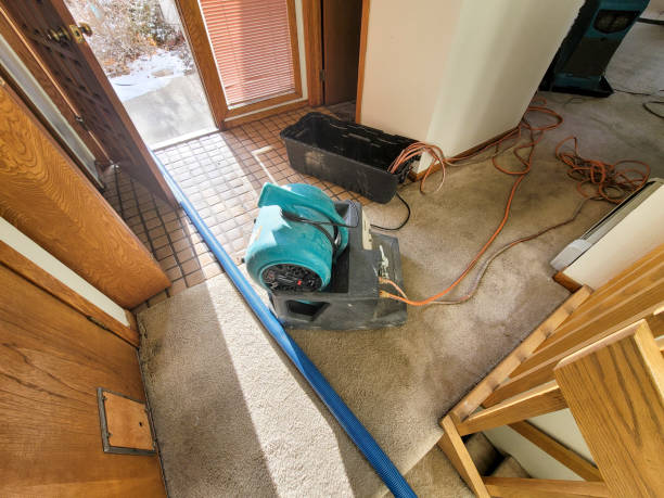 Best Water damage cleanup near me  in Norwood, PA