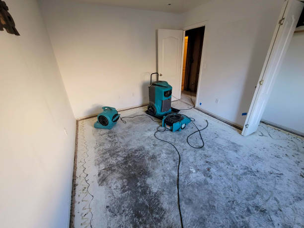 Best Water damage restoration near me  in Norwood, PA