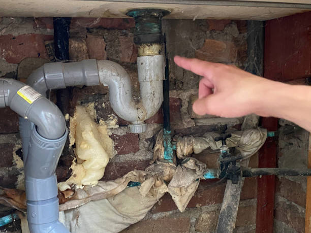 Best Flooded house restoration  in Norwood, PA