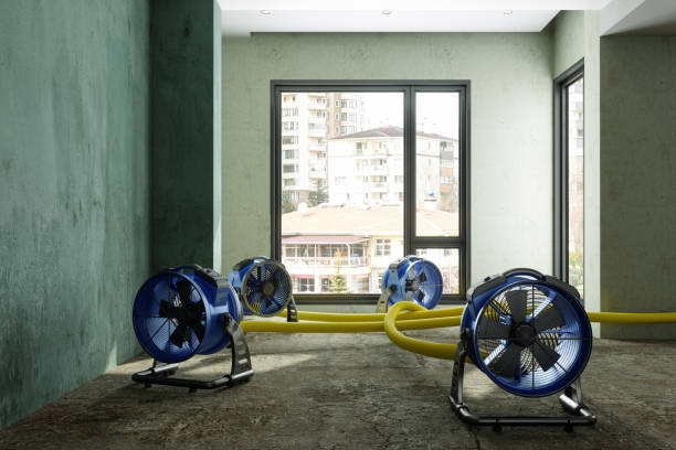 Best Emergency water damage restoration  in Norwood, PA