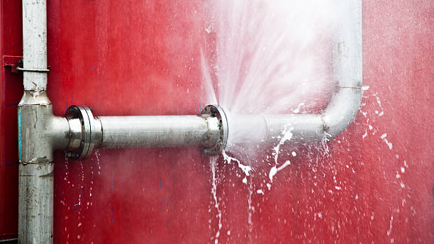 Best Sewage cleanup and water damage restoration  in Norwood, PA